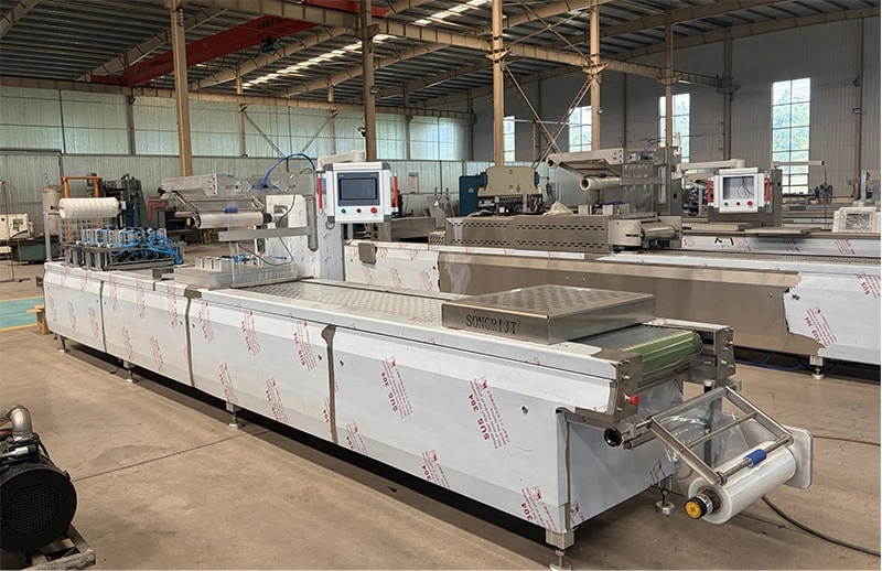 A Guide to Selecting Vacuum Stretch Film Packaging Machines