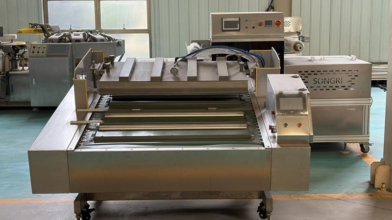 Growing Global Demand for Automatic Vacuum Packaging Machines by 2026 